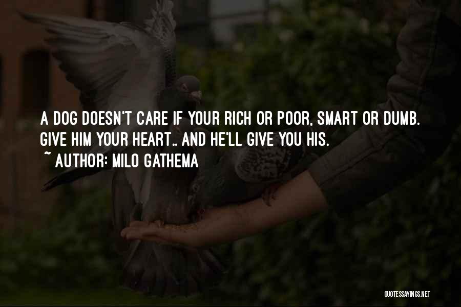 Milo Gathema Quotes: A Dog Doesn't Care If Your Rich Or Poor, Smart Or Dumb. Give Him Your Heart.. And He'll Give You