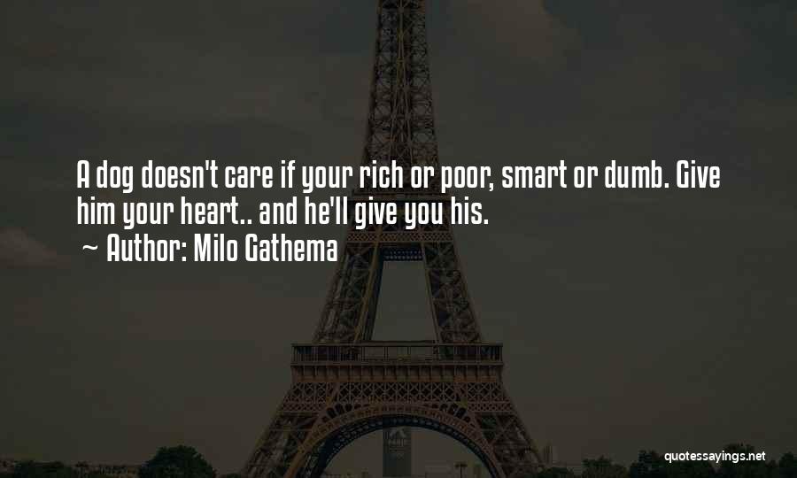 Milo Gathema Quotes: A Dog Doesn't Care If Your Rich Or Poor, Smart Or Dumb. Give Him Your Heart.. And He'll Give You