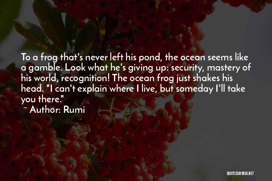 Rumi Quotes: To A Frog That's Never Left His Pond, The Ocean Seems Like A Gamble. Look What He's Giving Up: Security,