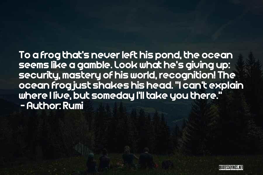 Rumi Quotes: To A Frog That's Never Left His Pond, The Ocean Seems Like A Gamble. Look What He's Giving Up: Security,