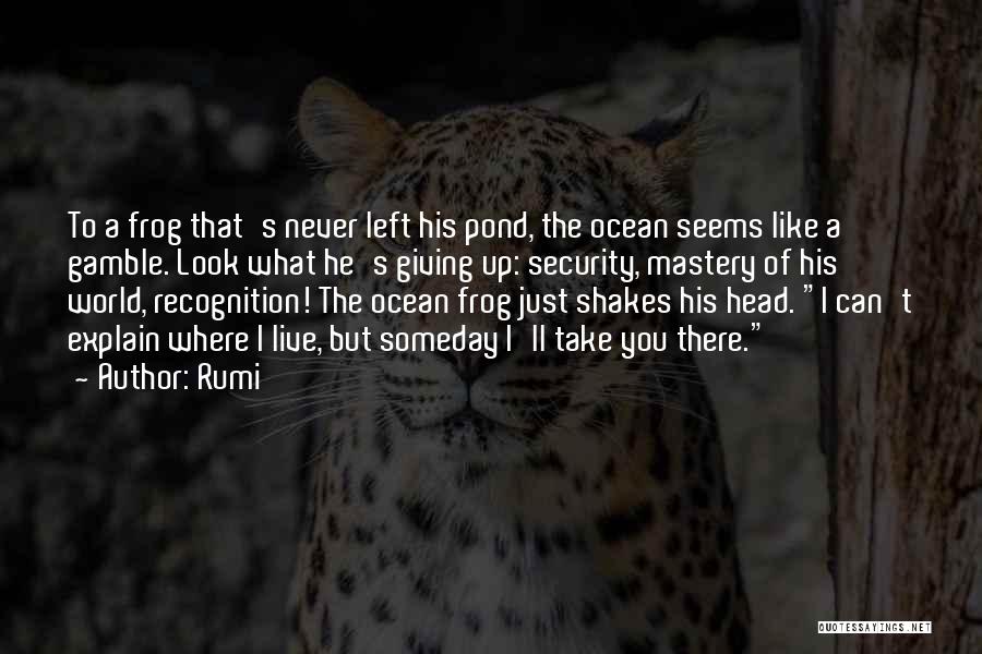 Rumi Quotes: To A Frog That's Never Left His Pond, The Ocean Seems Like A Gamble. Look What He's Giving Up: Security,