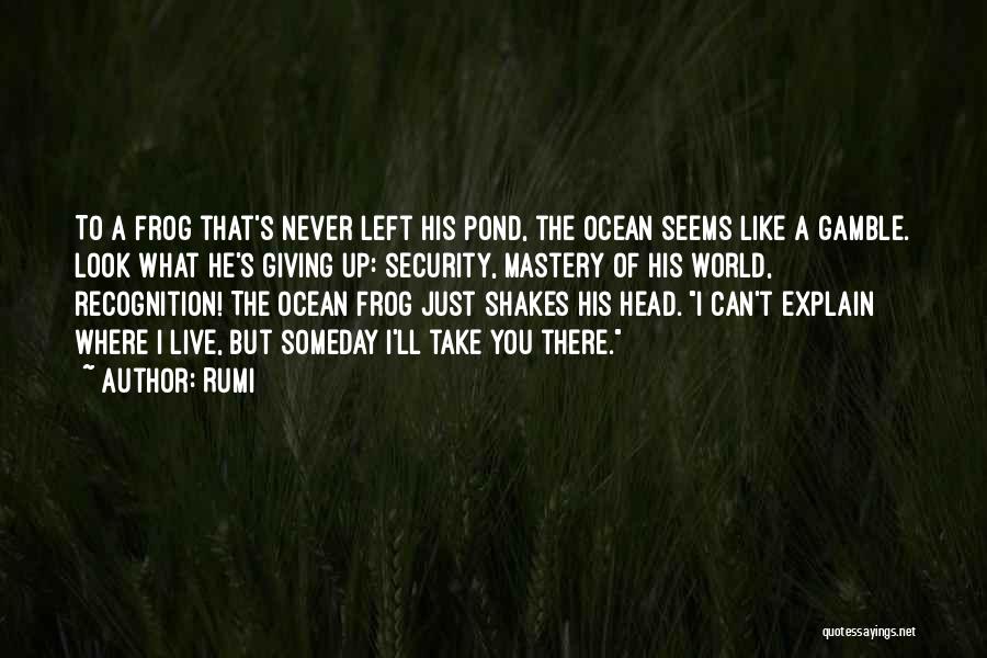 Rumi Quotes: To A Frog That's Never Left His Pond, The Ocean Seems Like A Gamble. Look What He's Giving Up: Security,