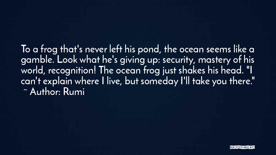 Rumi Quotes: To A Frog That's Never Left His Pond, The Ocean Seems Like A Gamble. Look What He's Giving Up: Security,