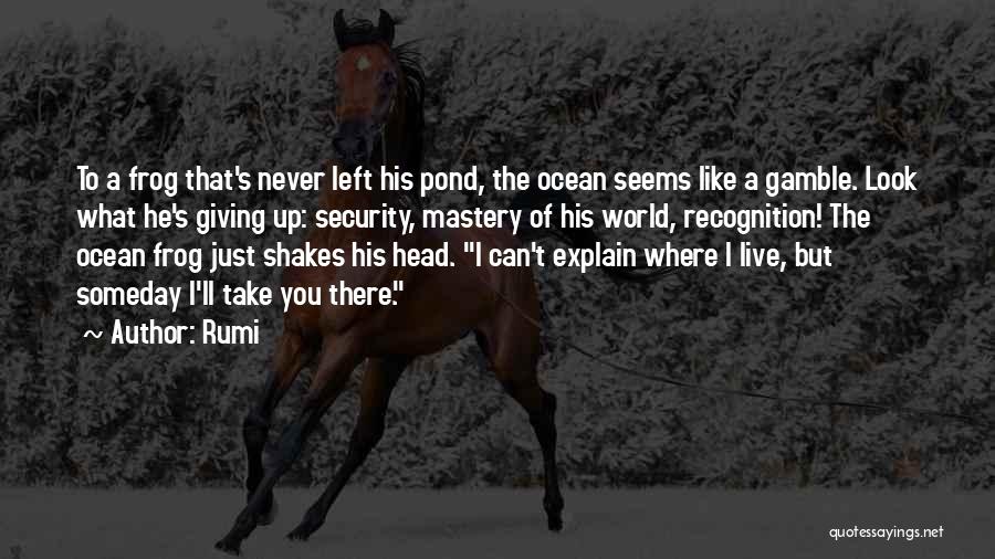 Rumi Quotes: To A Frog That's Never Left His Pond, The Ocean Seems Like A Gamble. Look What He's Giving Up: Security,