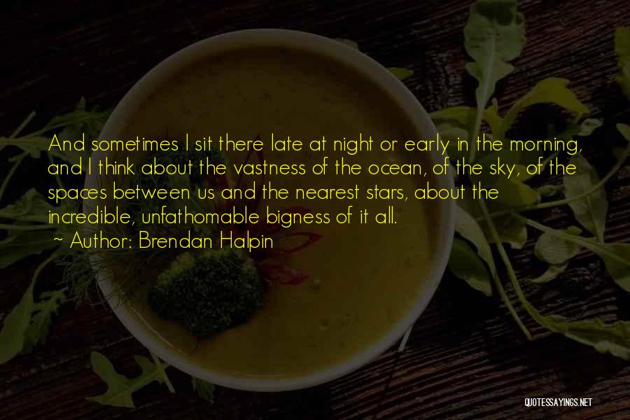 Brendan Halpin Quotes: And Sometimes I Sit There Late At Night Or Early In The Morning, And I Think About The Vastness Of