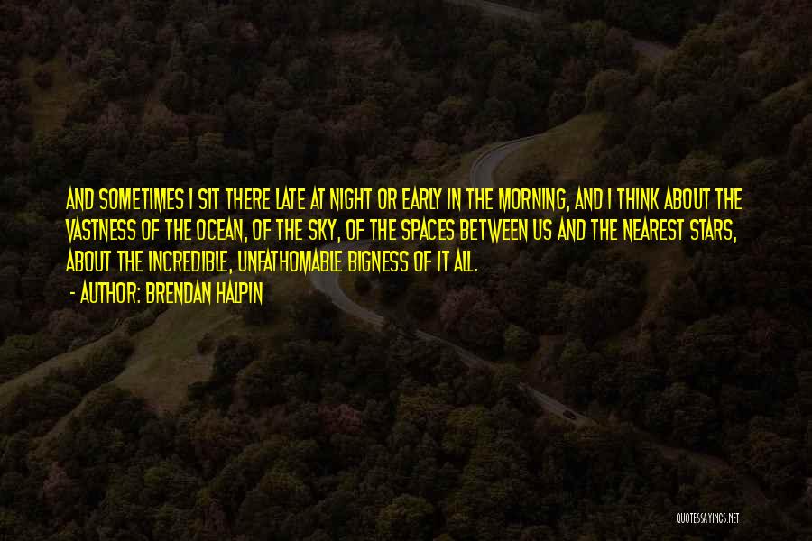 Brendan Halpin Quotes: And Sometimes I Sit There Late At Night Or Early In The Morning, And I Think About The Vastness Of