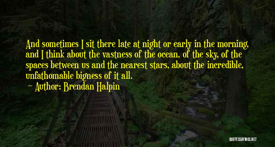 Brendan Halpin Quotes: And Sometimes I Sit There Late At Night Or Early In The Morning, And I Think About The Vastness Of