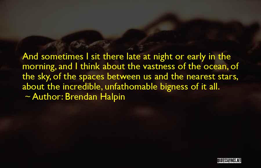 Brendan Halpin Quotes: And Sometimes I Sit There Late At Night Or Early In The Morning, And I Think About The Vastness Of