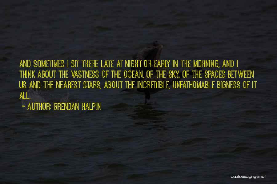 Brendan Halpin Quotes: And Sometimes I Sit There Late At Night Or Early In The Morning, And I Think About The Vastness Of