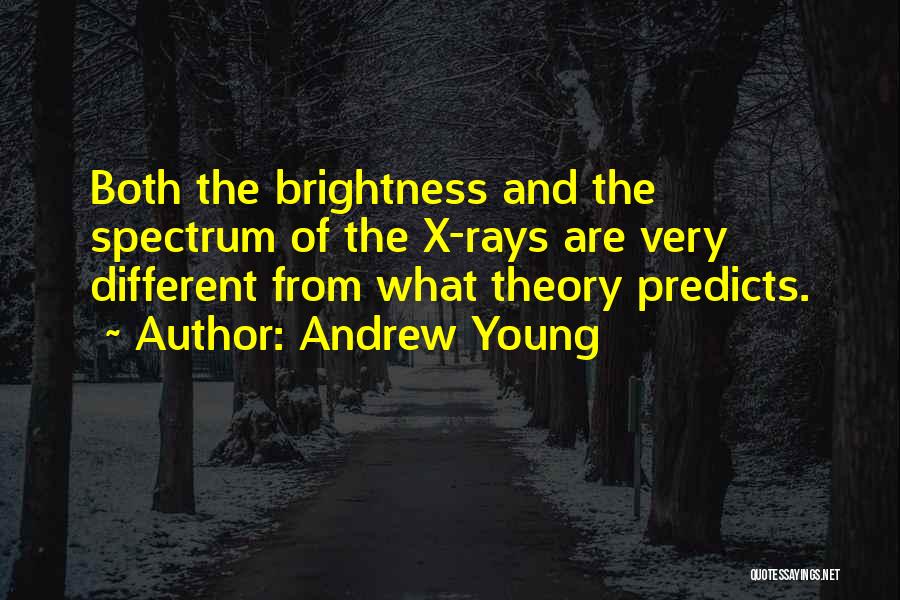 Andrew Young Quotes: Both The Brightness And The Spectrum Of The X-rays Are Very Different From What Theory Predicts.