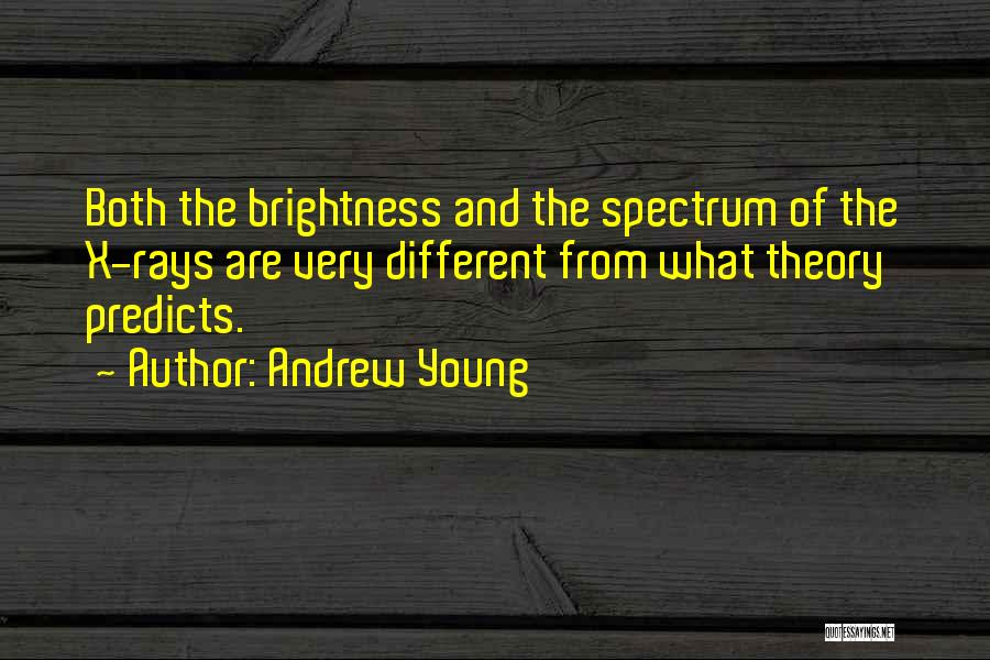 Andrew Young Quotes: Both The Brightness And The Spectrum Of The X-rays Are Very Different From What Theory Predicts.