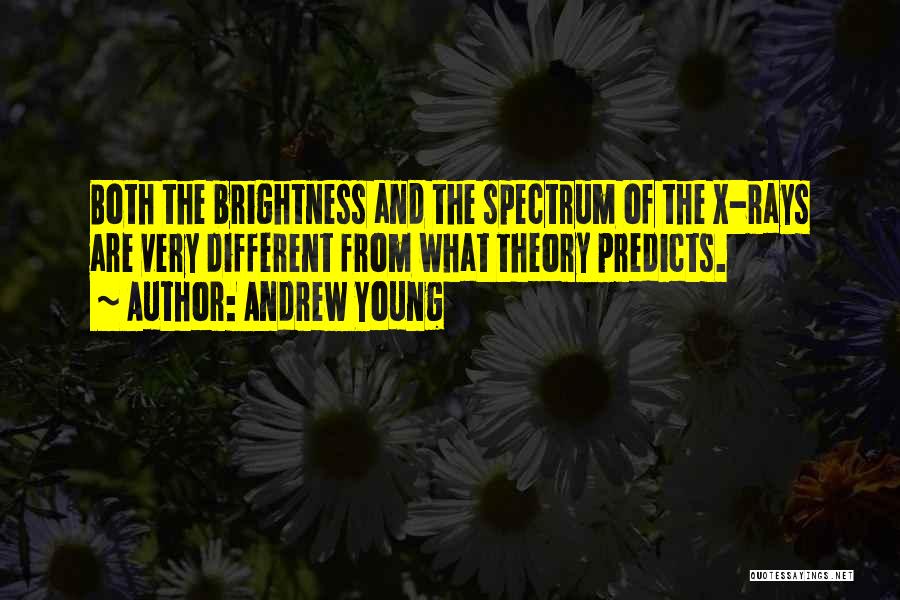 Andrew Young Quotes: Both The Brightness And The Spectrum Of The X-rays Are Very Different From What Theory Predicts.