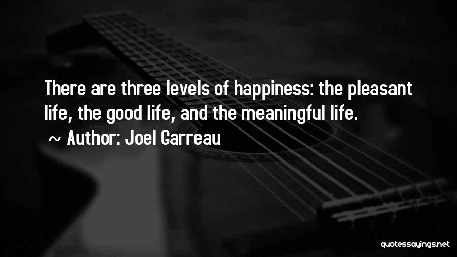 Joel Garreau Quotes: There Are Three Levels Of Happiness: The Pleasant Life, The Good Life, And The Meaningful Life.