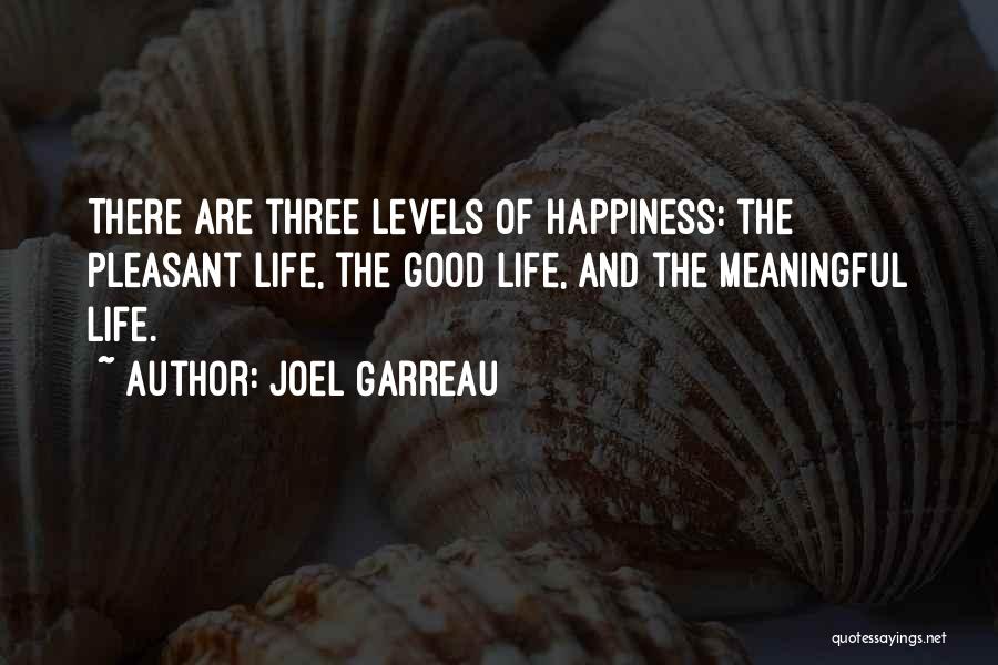 Joel Garreau Quotes: There Are Three Levels Of Happiness: The Pleasant Life, The Good Life, And The Meaningful Life.