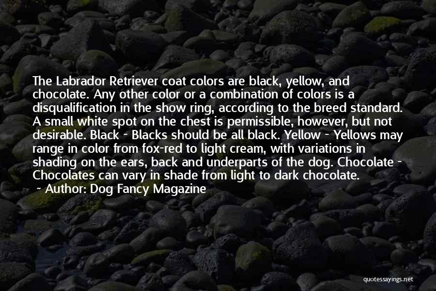 Dog Fancy Magazine Quotes: The Labrador Retriever Coat Colors Are Black, Yellow, And Chocolate. Any Other Color Or A Combination Of Colors Is A