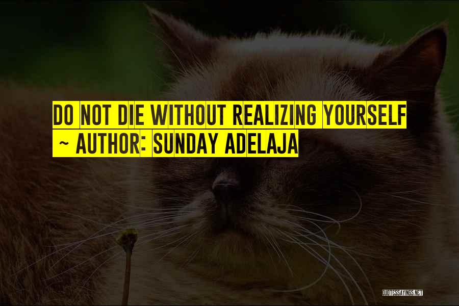 Sunday Adelaja Quotes: Do Not Die Without Realizing Yourself