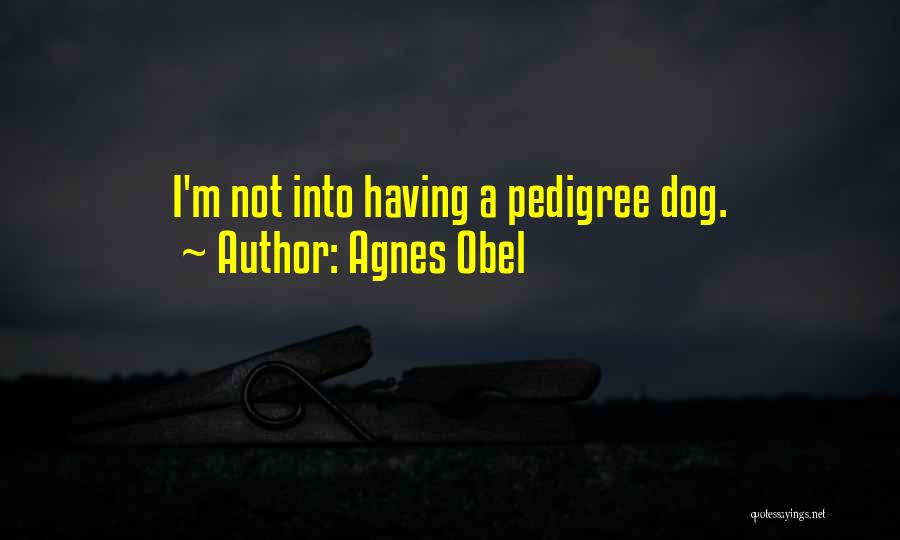 Agnes Obel Quotes: I'm Not Into Having A Pedigree Dog.