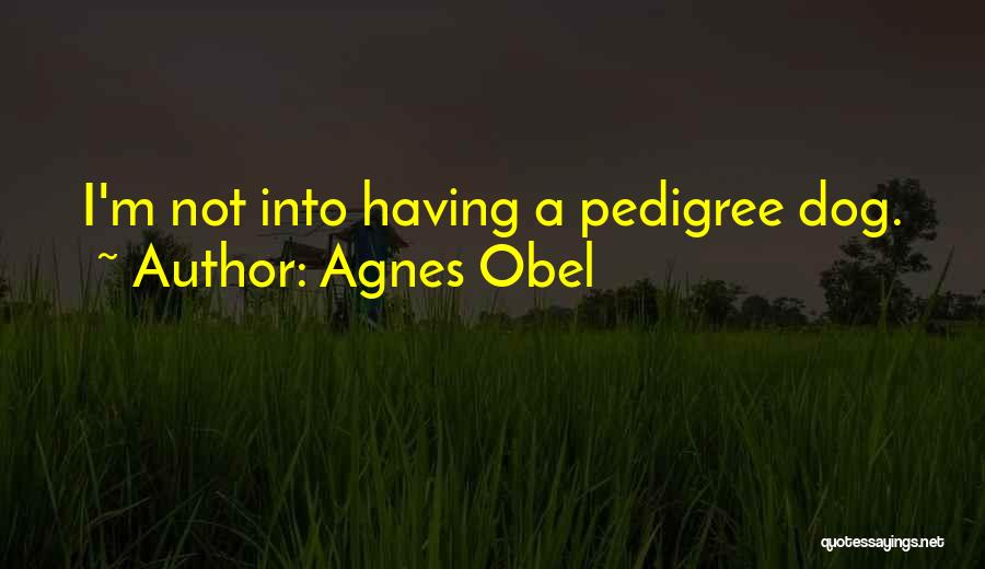 Agnes Obel Quotes: I'm Not Into Having A Pedigree Dog.