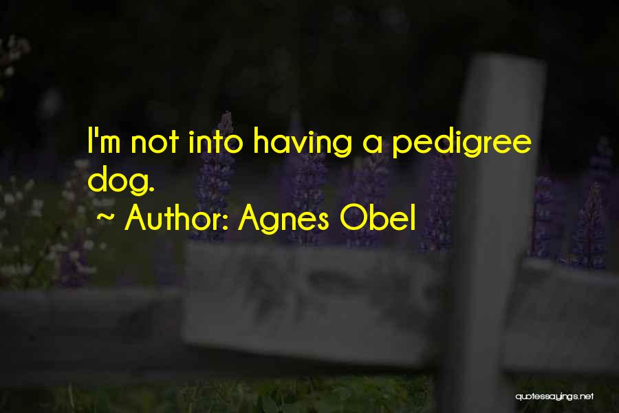 Agnes Obel Quotes: I'm Not Into Having A Pedigree Dog.