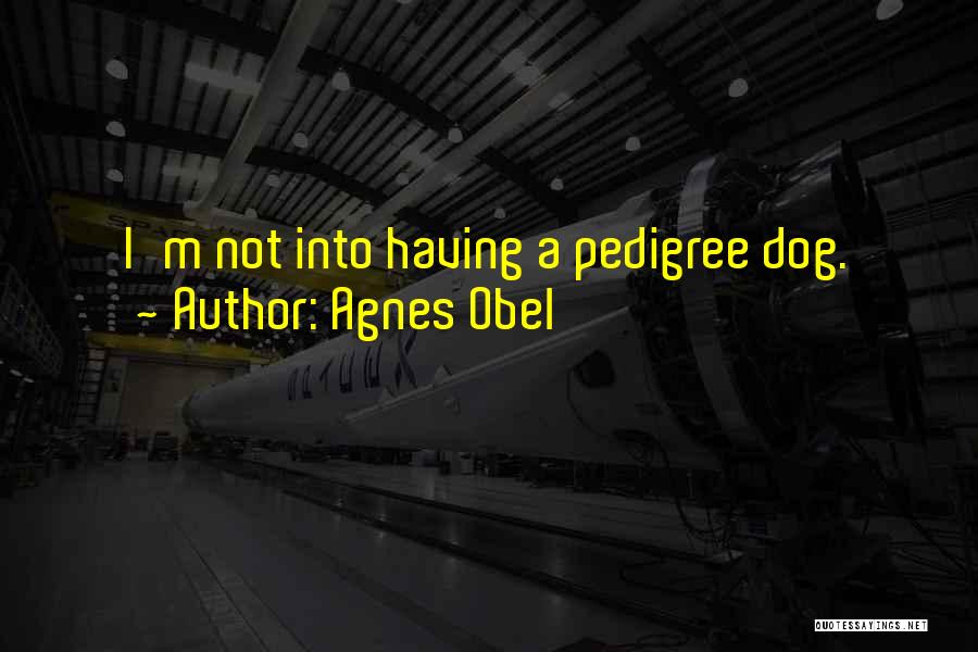 Agnes Obel Quotes: I'm Not Into Having A Pedigree Dog.