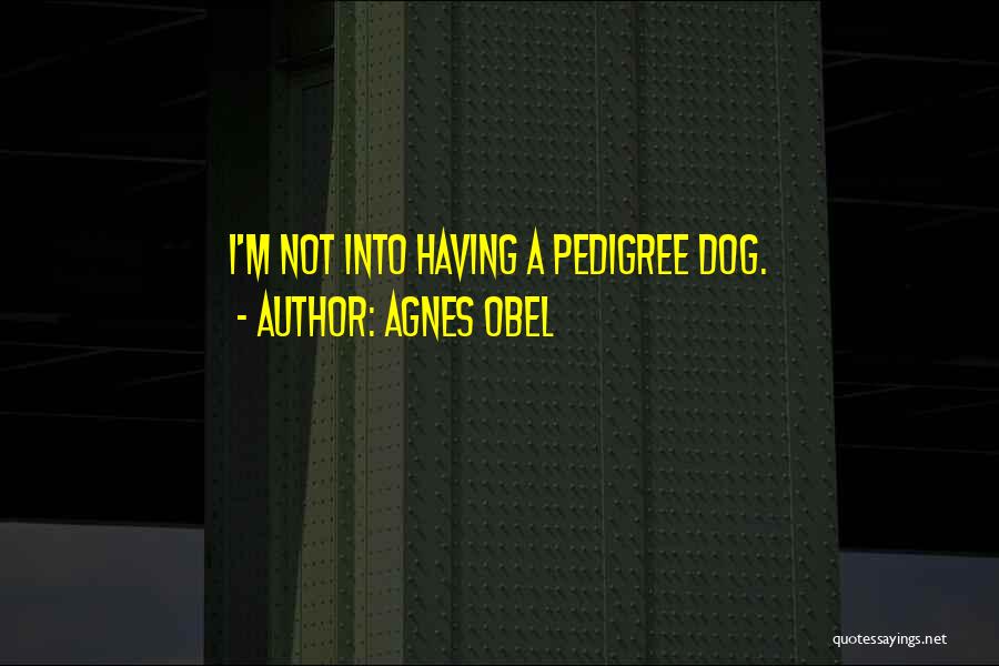 Agnes Obel Quotes: I'm Not Into Having A Pedigree Dog.
