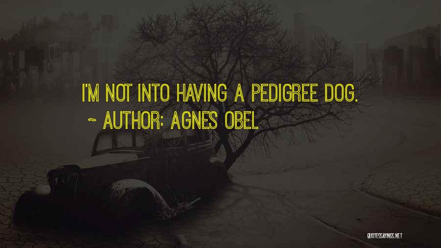 Agnes Obel Quotes: I'm Not Into Having A Pedigree Dog.