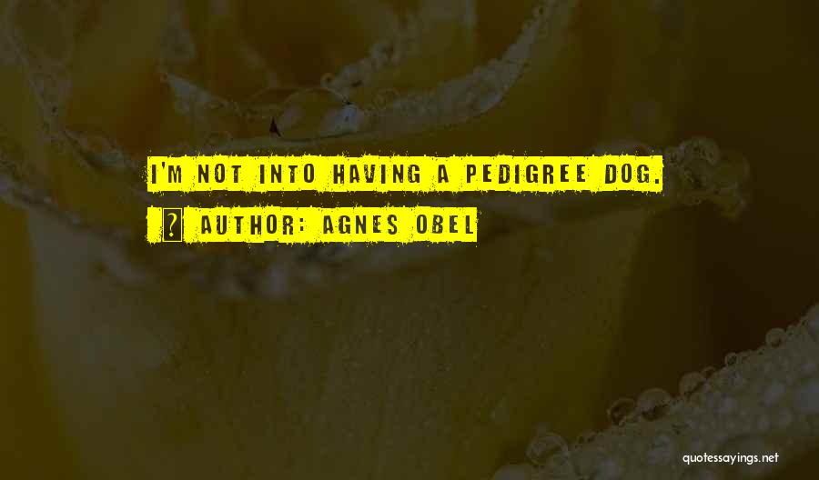 Agnes Obel Quotes: I'm Not Into Having A Pedigree Dog.
