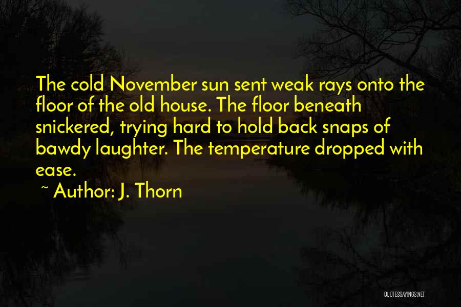 J. Thorn Quotes: The Cold November Sun Sent Weak Rays Onto The Floor Of The Old House. The Floor Beneath Snickered, Trying Hard
