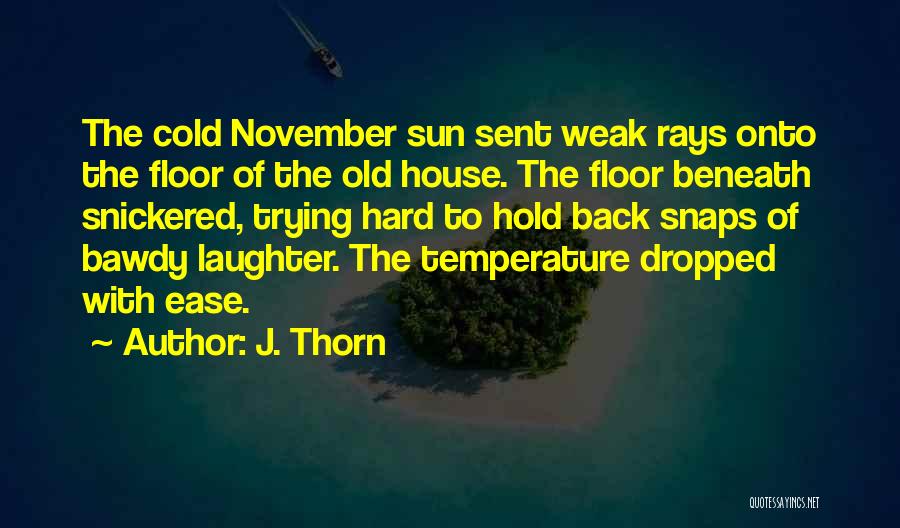 J. Thorn Quotes: The Cold November Sun Sent Weak Rays Onto The Floor Of The Old House. The Floor Beneath Snickered, Trying Hard