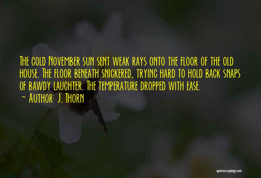 J. Thorn Quotes: The Cold November Sun Sent Weak Rays Onto The Floor Of The Old House. The Floor Beneath Snickered, Trying Hard