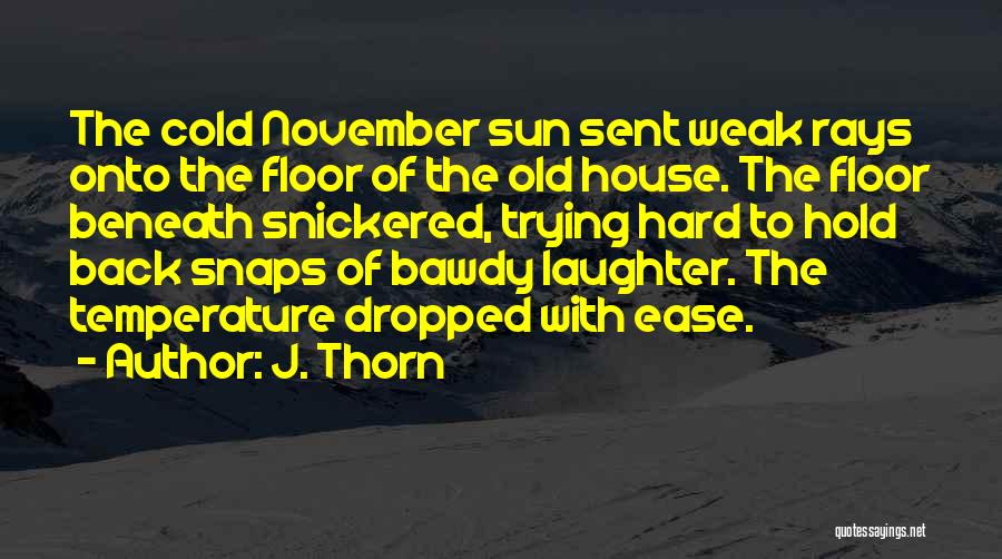 J. Thorn Quotes: The Cold November Sun Sent Weak Rays Onto The Floor Of The Old House. The Floor Beneath Snickered, Trying Hard