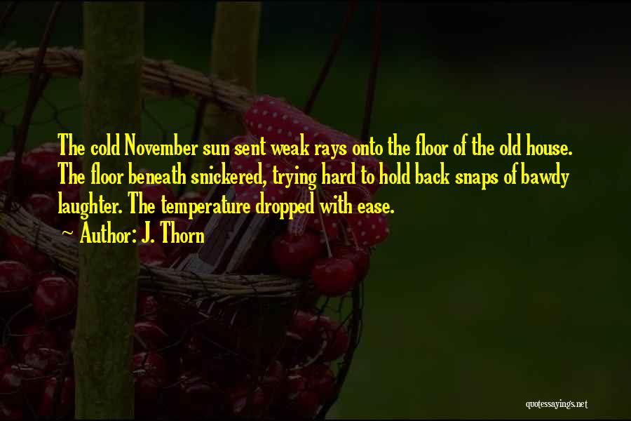 J. Thorn Quotes: The Cold November Sun Sent Weak Rays Onto The Floor Of The Old House. The Floor Beneath Snickered, Trying Hard