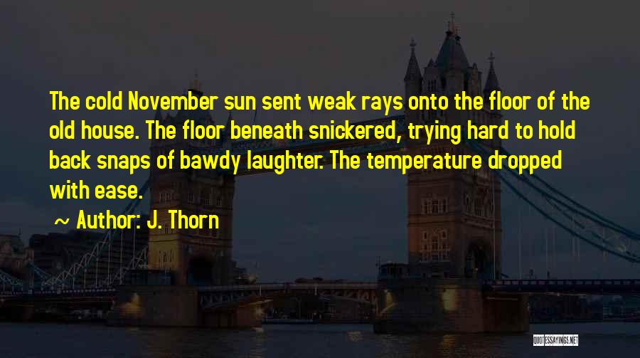 J. Thorn Quotes: The Cold November Sun Sent Weak Rays Onto The Floor Of The Old House. The Floor Beneath Snickered, Trying Hard