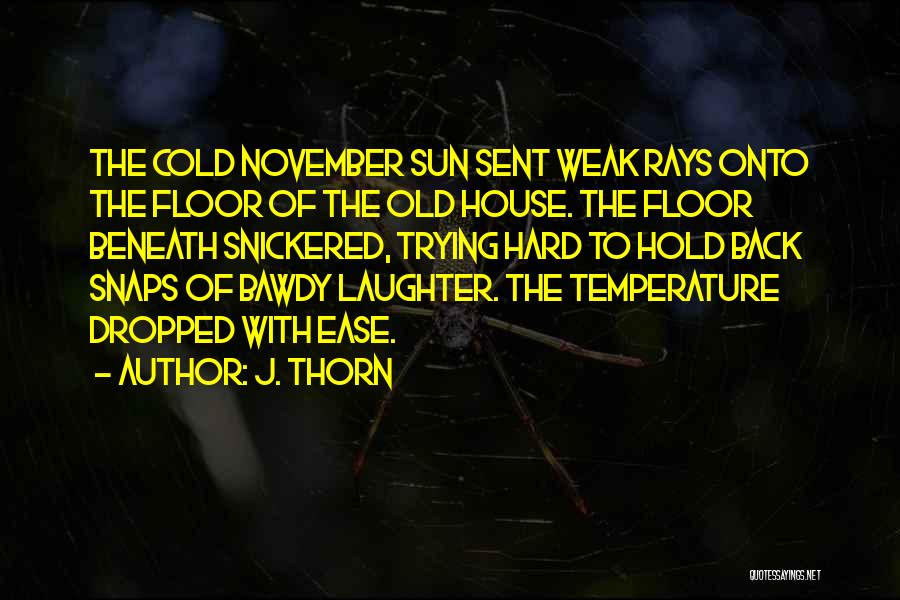 J. Thorn Quotes: The Cold November Sun Sent Weak Rays Onto The Floor Of The Old House. The Floor Beneath Snickered, Trying Hard
