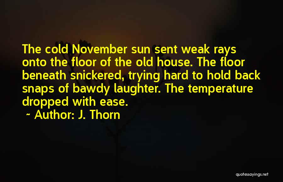 J. Thorn Quotes: The Cold November Sun Sent Weak Rays Onto The Floor Of The Old House. The Floor Beneath Snickered, Trying Hard