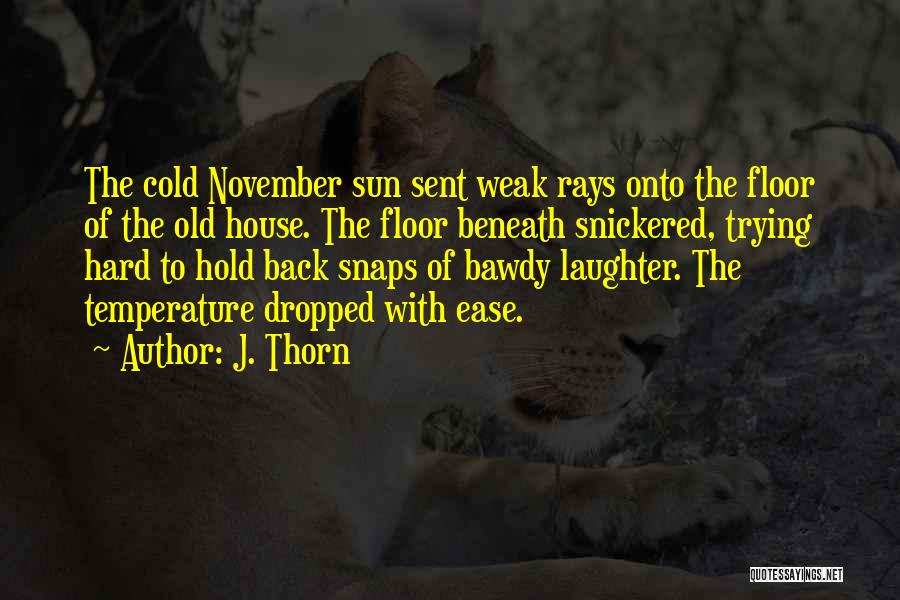 J. Thorn Quotes: The Cold November Sun Sent Weak Rays Onto The Floor Of The Old House. The Floor Beneath Snickered, Trying Hard