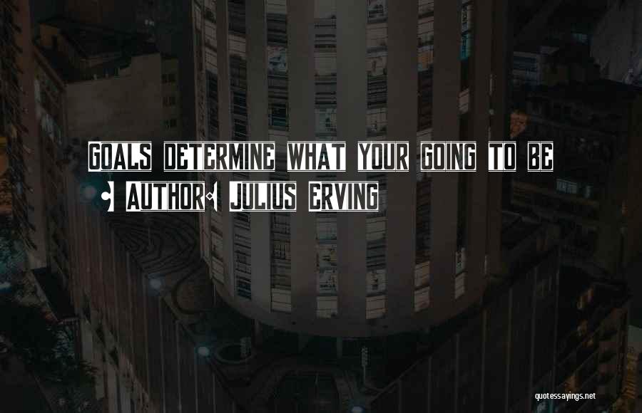 Julius Erving Quotes: Goals Determine What Your Going To Be