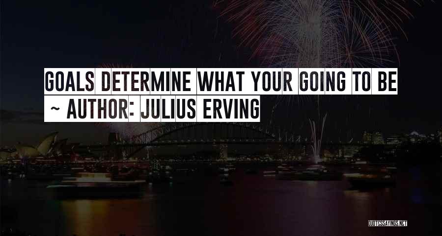 Julius Erving Quotes: Goals Determine What Your Going To Be