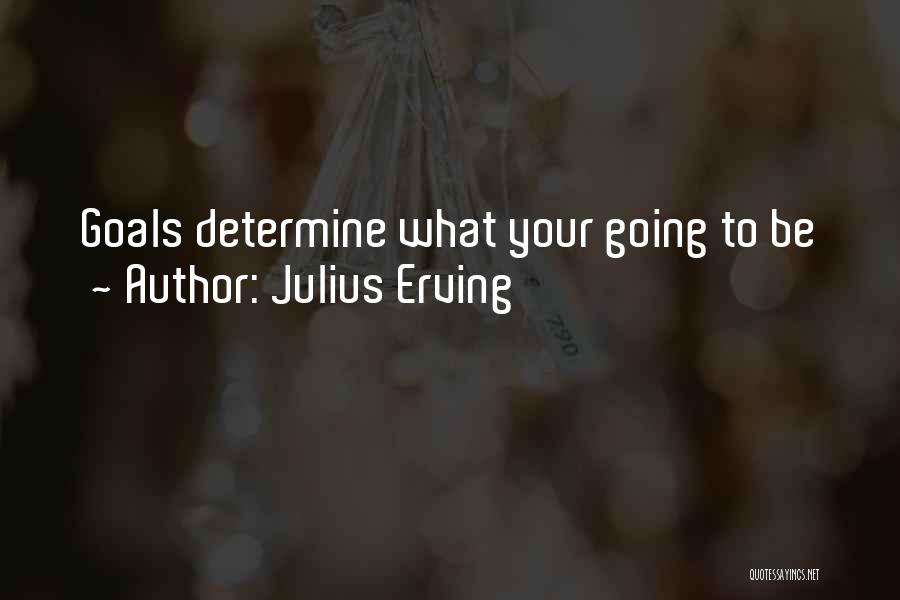 Julius Erving Quotes: Goals Determine What Your Going To Be