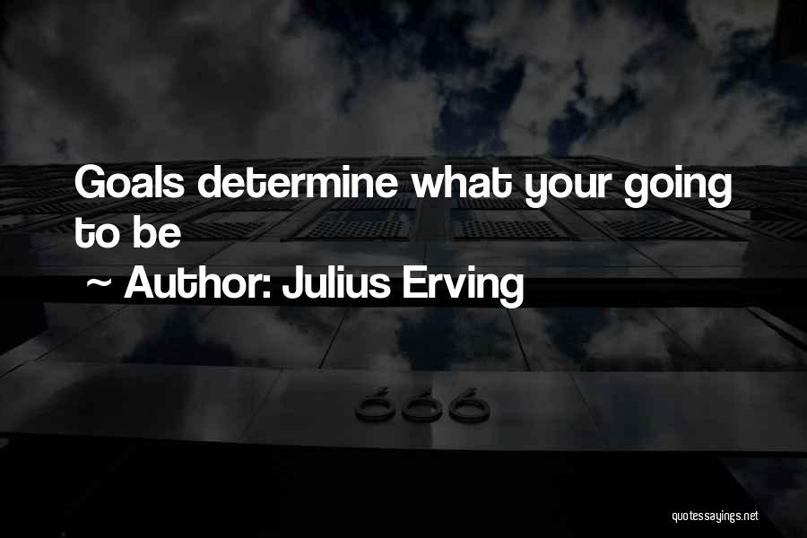 Julius Erving Quotes: Goals Determine What Your Going To Be