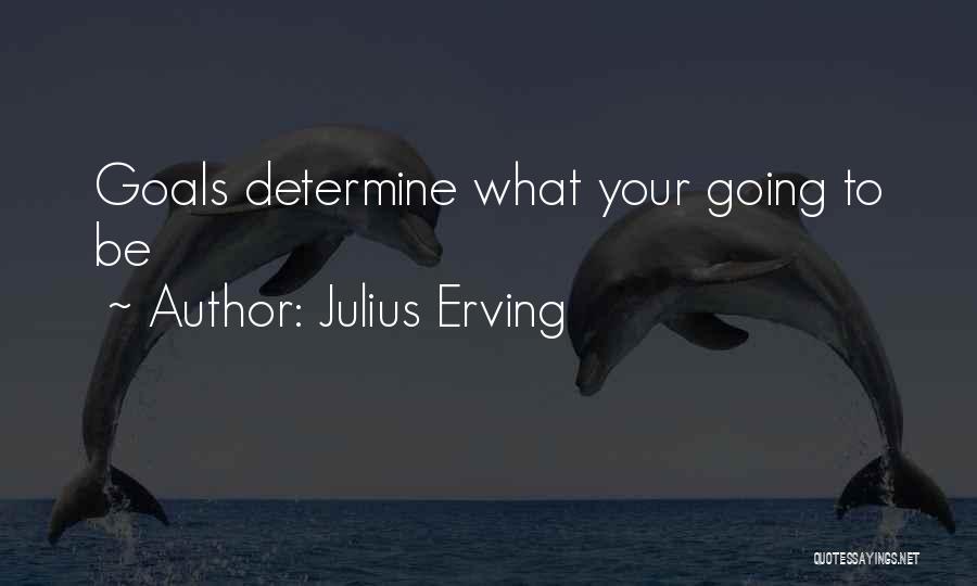 Julius Erving Quotes: Goals Determine What Your Going To Be