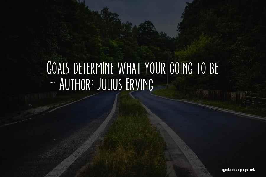 Julius Erving Quotes: Goals Determine What Your Going To Be