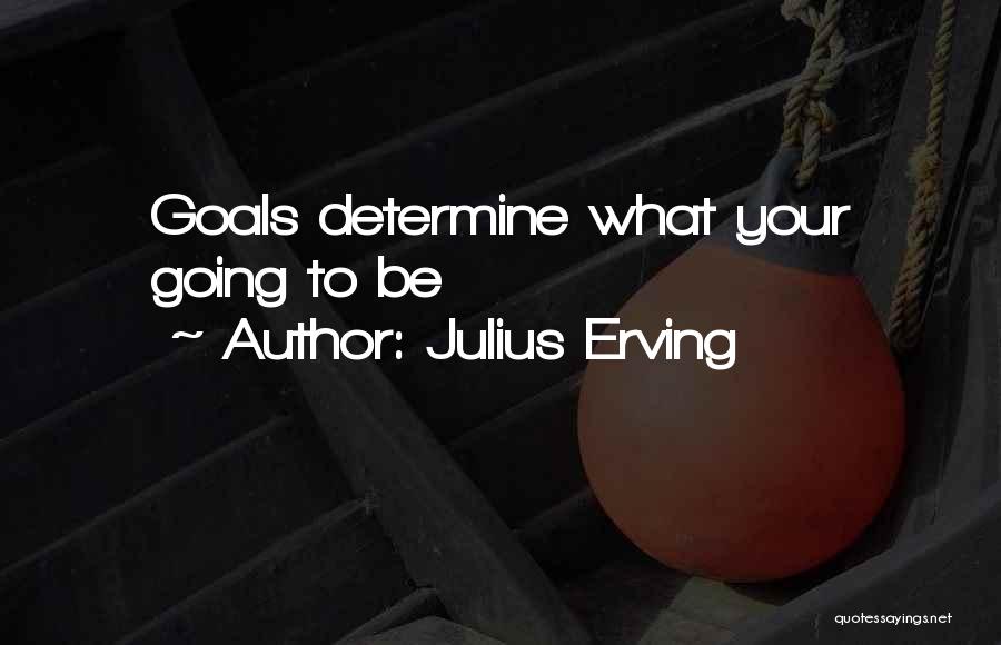 Julius Erving Quotes: Goals Determine What Your Going To Be