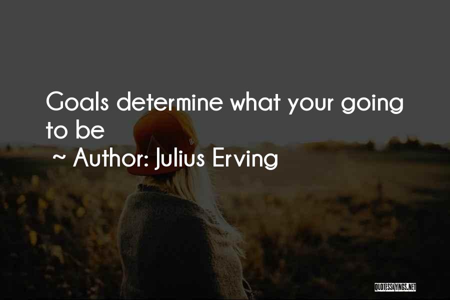 Julius Erving Quotes: Goals Determine What Your Going To Be
