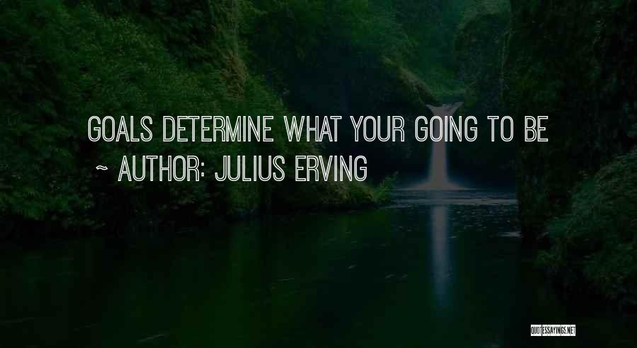 Julius Erving Quotes: Goals Determine What Your Going To Be