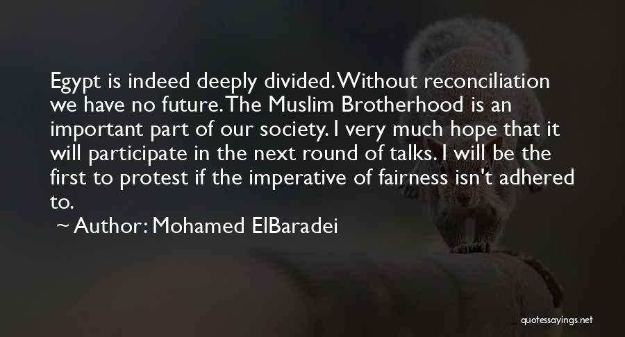 Mohamed ElBaradei Quotes: Egypt Is Indeed Deeply Divided. Without Reconciliation We Have No Future. The Muslim Brotherhood Is An Important Part Of Our