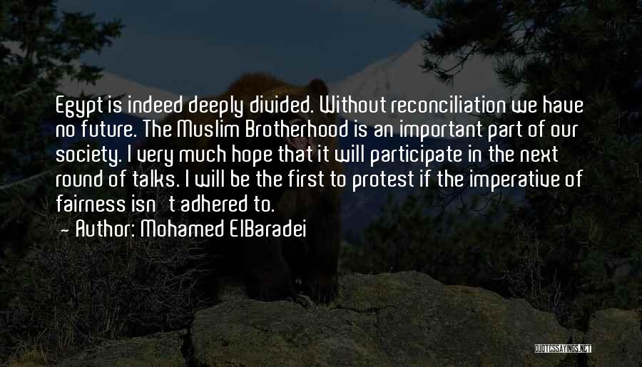 Mohamed ElBaradei Quotes: Egypt Is Indeed Deeply Divided. Without Reconciliation We Have No Future. The Muslim Brotherhood Is An Important Part Of Our