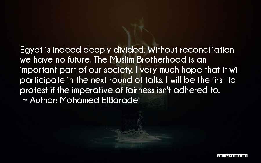 Mohamed ElBaradei Quotes: Egypt Is Indeed Deeply Divided. Without Reconciliation We Have No Future. The Muslim Brotherhood Is An Important Part Of Our