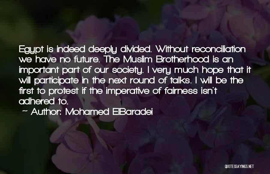 Mohamed ElBaradei Quotes: Egypt Is Indeed Deeply Divided. Without Reconciliation We Have No Future. The Muslim Brotherhood Is An Important Part Of Our