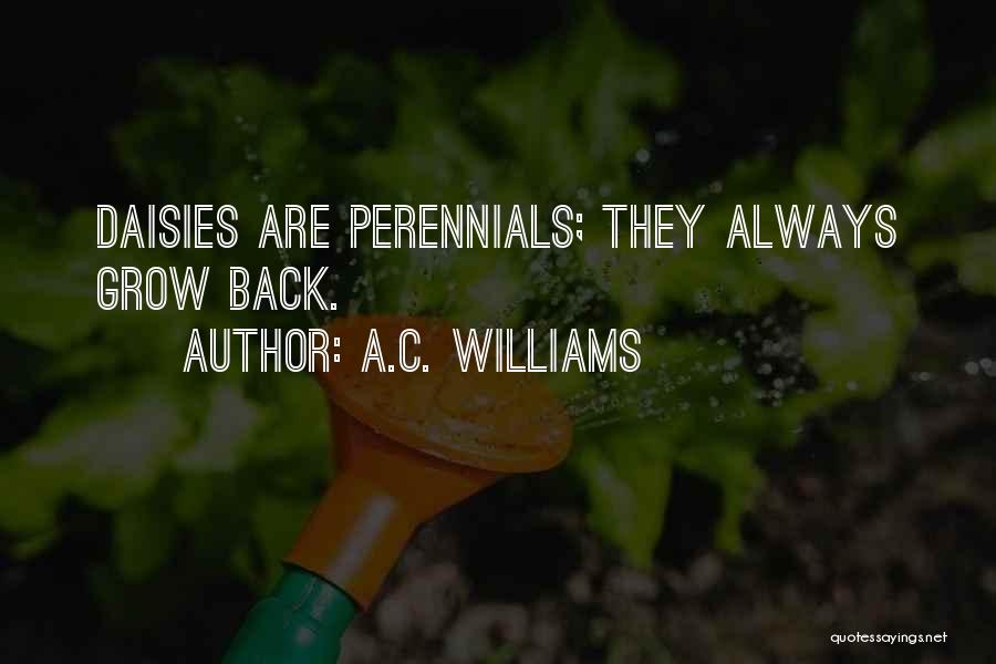 A.C. Williams Quotes: Daisies Are Perennials; They Always Grow Back.